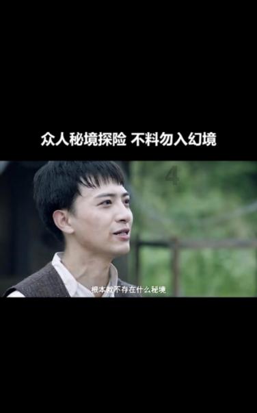 可爱小猫向上跳