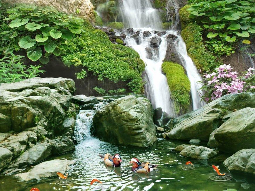 牛油果面包